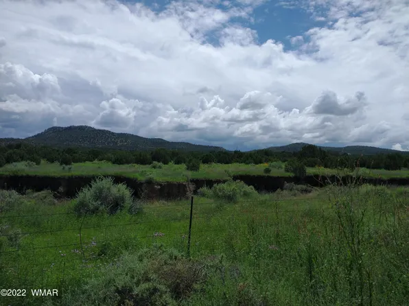 62 County Road 3033, Concho, AZ 85924