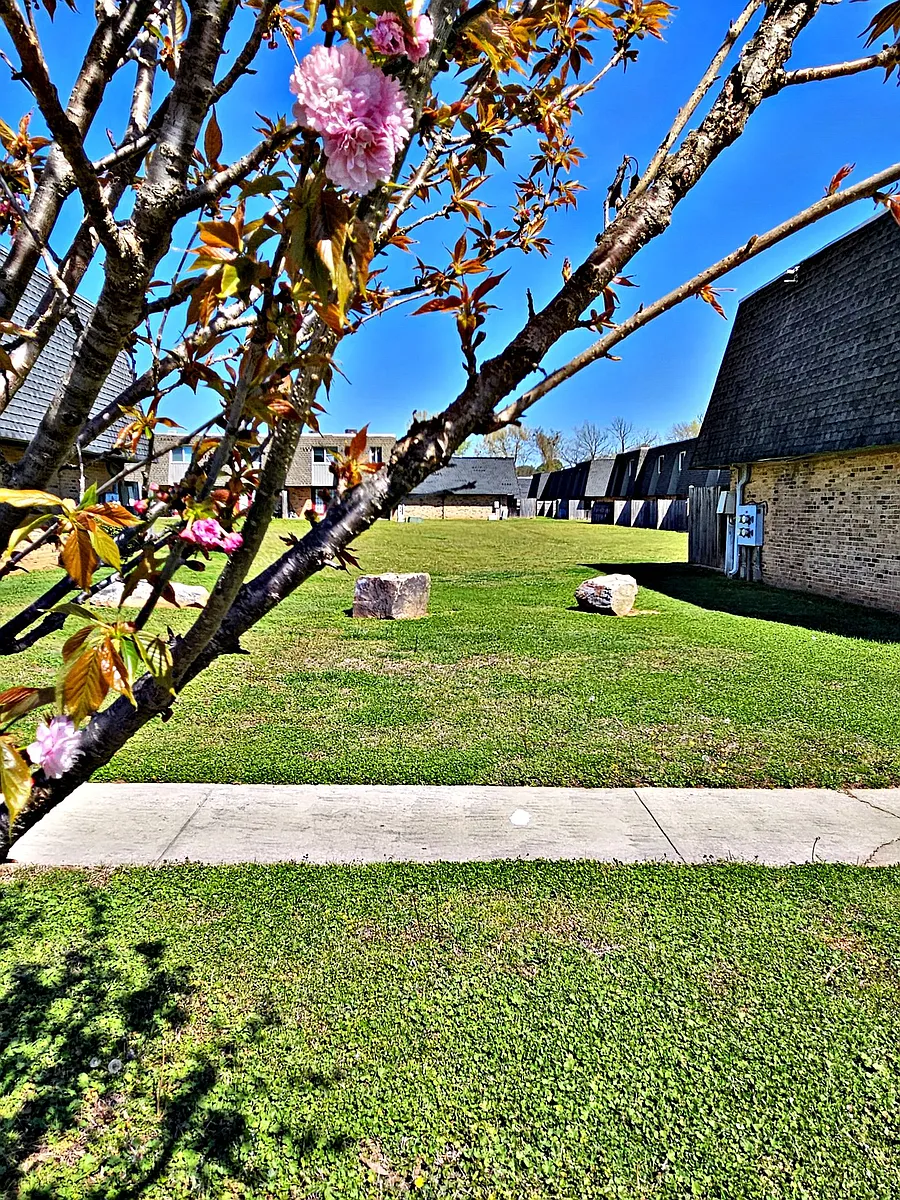 Building Photo - Avalon Cove Townhomes