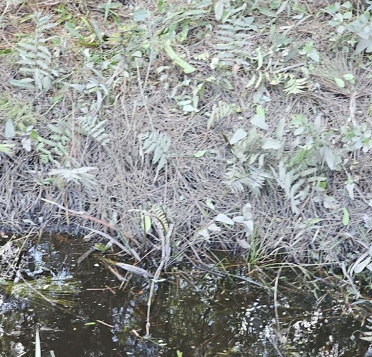 2nd image of 10695 ZIGLER Avenue