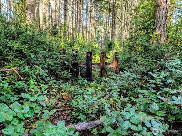 0 30th Street SW, Lakebay, WA 98349