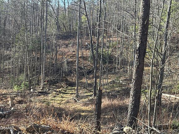 5th image of TRACT 1 Bull Mountain Rd