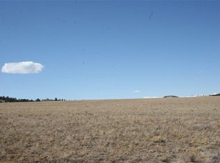 1098 Black Bear Rd, Hartsel, CO 80449