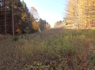 Chief Rd, Bear lake, MI 49614