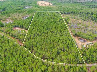 300 Volusian Forest Trl, Pierson, FL 32180