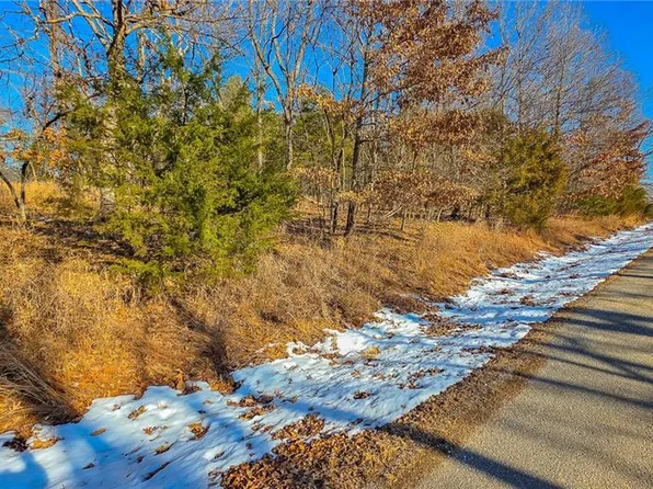LOT 1356 Champion Dr, Sunrise Beach, MO 65079