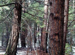 5121 Parkside Dr, Grizzly Flats, CA