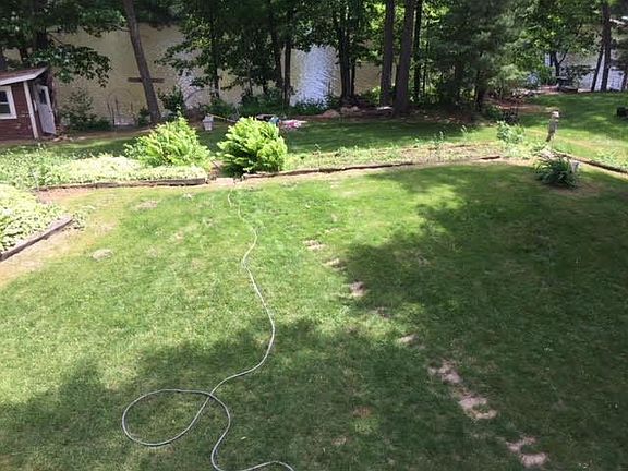 View of the back yard from the downstairs patio doors 