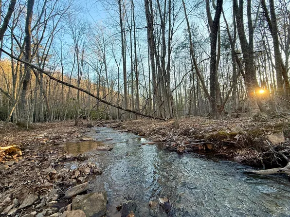 0 Dicks Creek Rd, New Castle, VA 24127