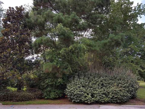 2nd image of 102 Ashford Ct. Lot 112