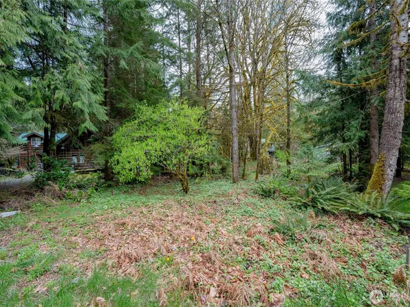 14039 Chimney Lane, Deming, WA 98244