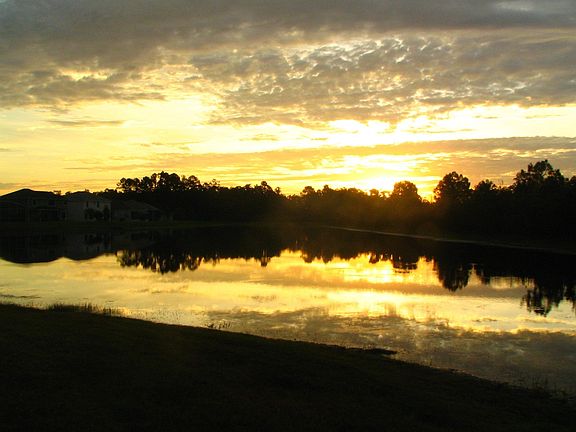 View from the house
