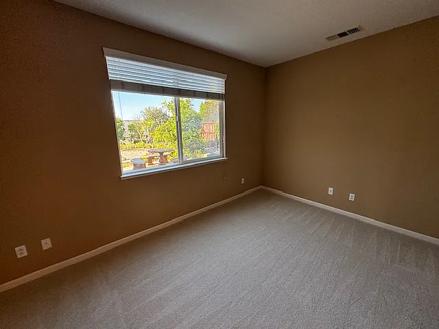 3800 Stafford Springs Way — Photo 16