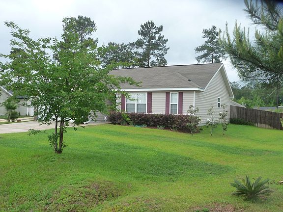 Crape Myrtles, Magnolias and More