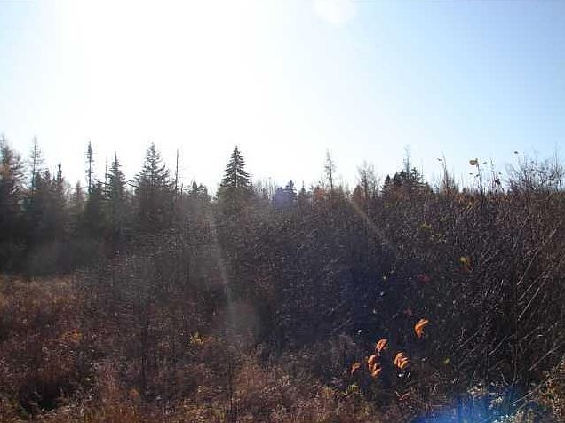 2nd image of 000 Chase Mills Road