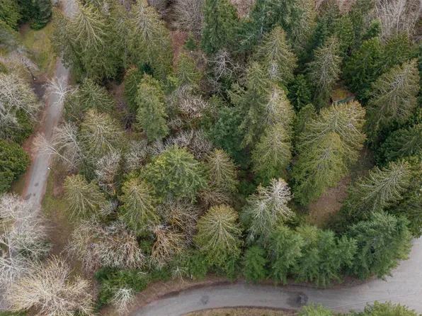 0 Boulder Drive, Brinnon, WA 98320