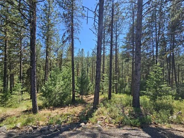 B14-L6 Yampa Ct, New Meadows, ID 83654