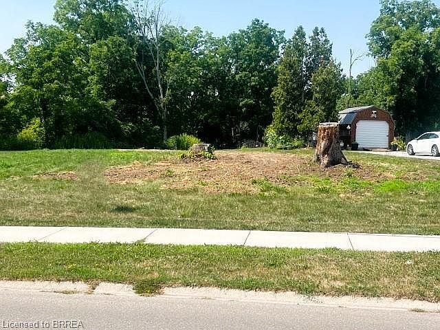 1st image of 75 Wolven St