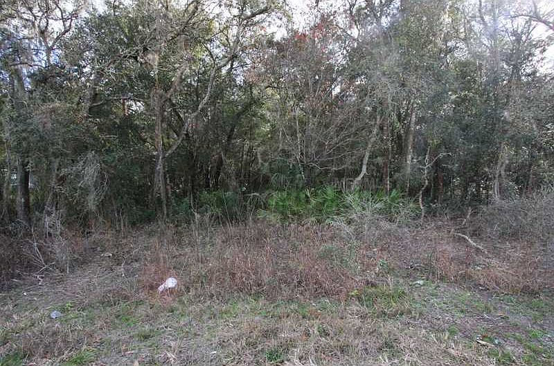 2nd image of 5631 E Jasmine Ln