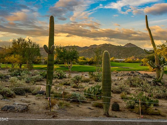 3rd image of 14311 N Giant Saguaro Pl