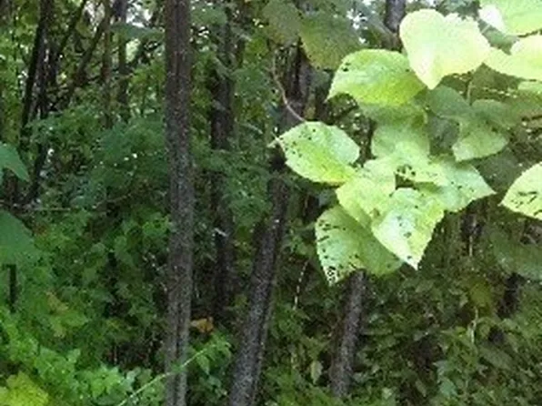 Oopu St Lot 27, Pahoa, HI 96778