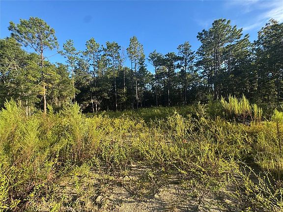 3rd image of 16327 SW 24TH PLACE LOT 28