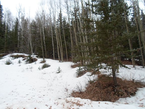3rd image of 1584 Anges Dr