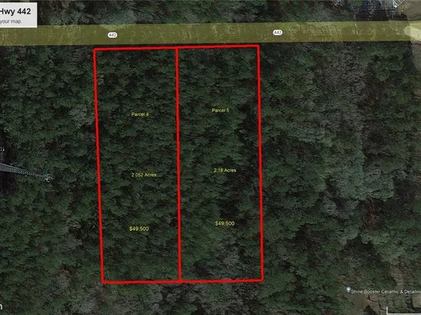 PARCEL 5 Highway 442, Albany, LA 70711