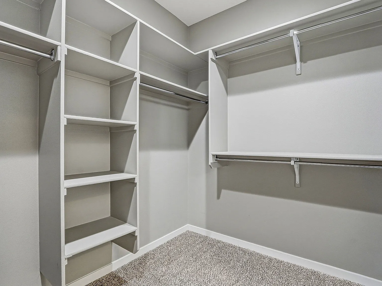 2025 William Caples St - 1 — Photo 2