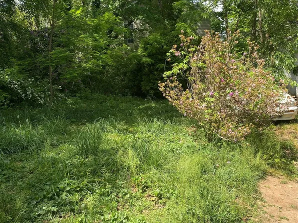 Lilac St, Asheville, NC 28806