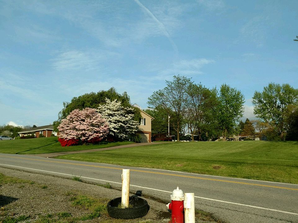 beautiful blooms in spring
