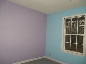 5th image of 18404 County Road 220
