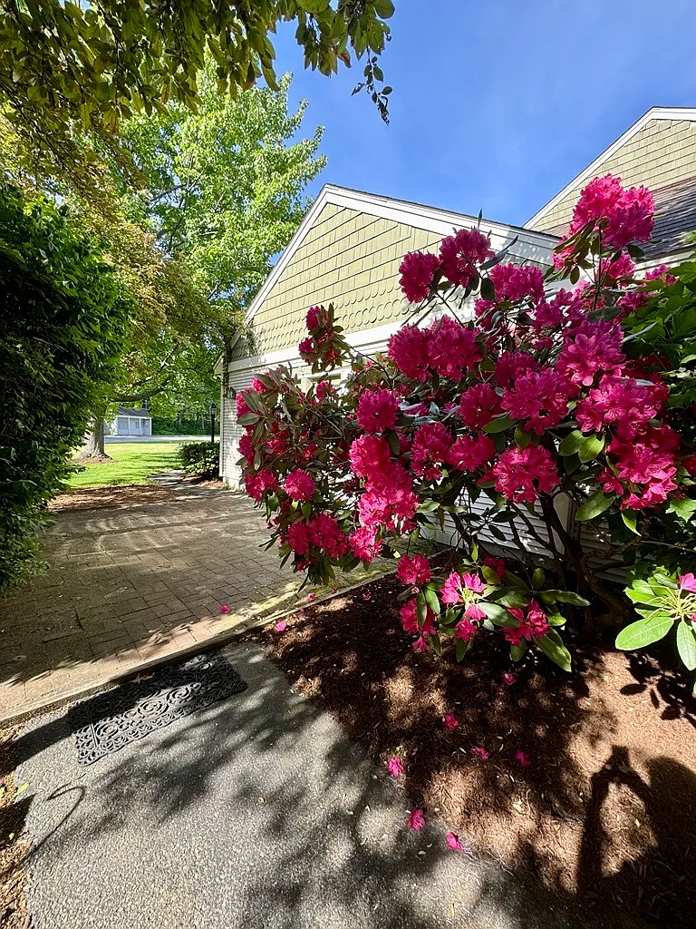 1 bed, 767 sqft, $2,150 — Photo 3