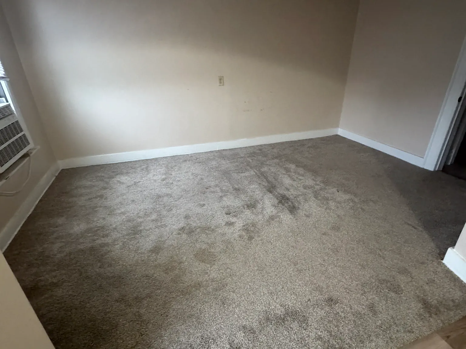 Studio, $675 — Photo 3