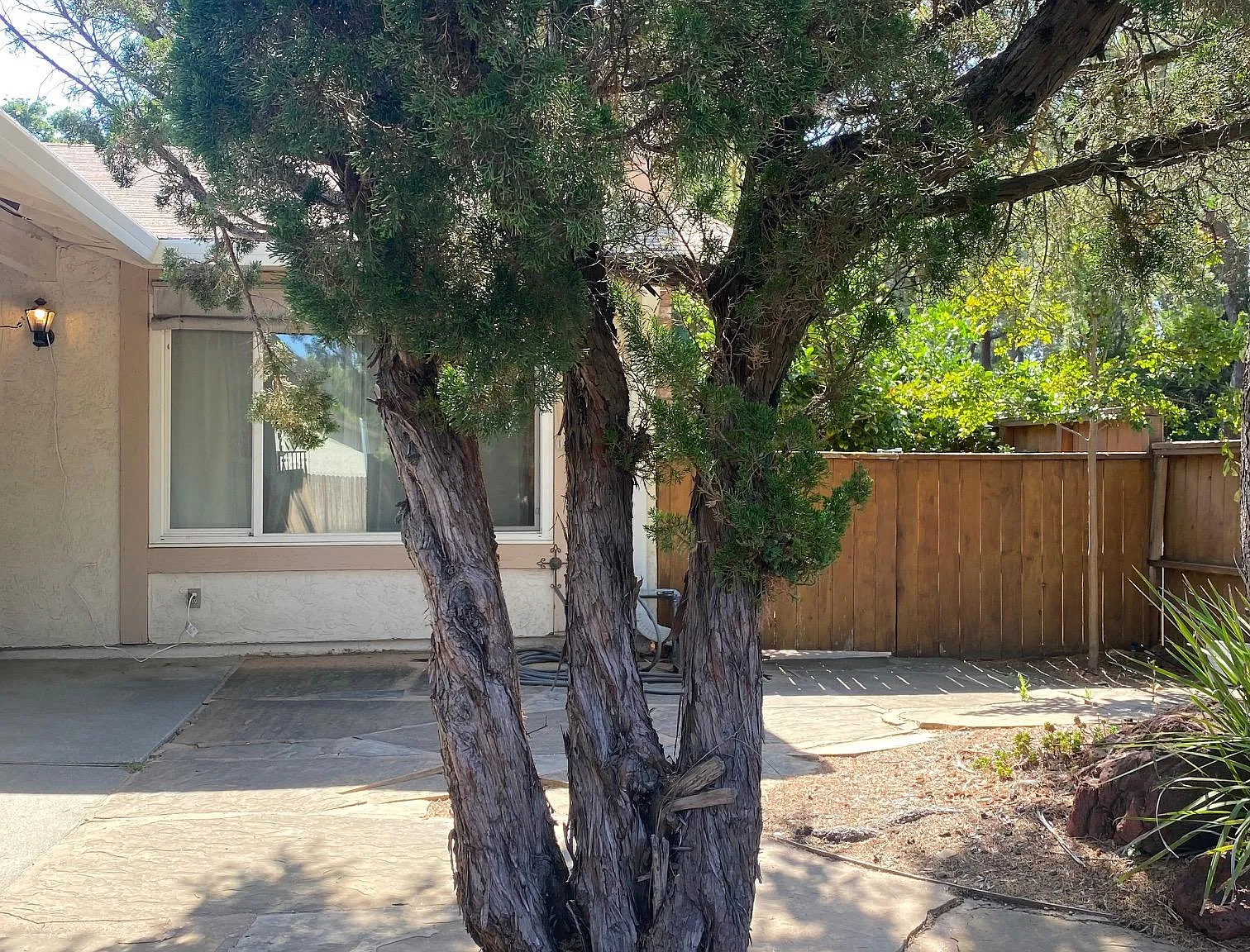 3 bed, 1.5 bath, 1062 sqft, $2,850 — Photo 4