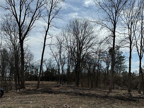 2nd image of 0 Dayton Farmersville Rd
