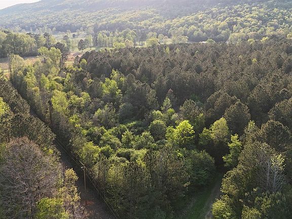 4th image of 8200 Owls Hollow Rd