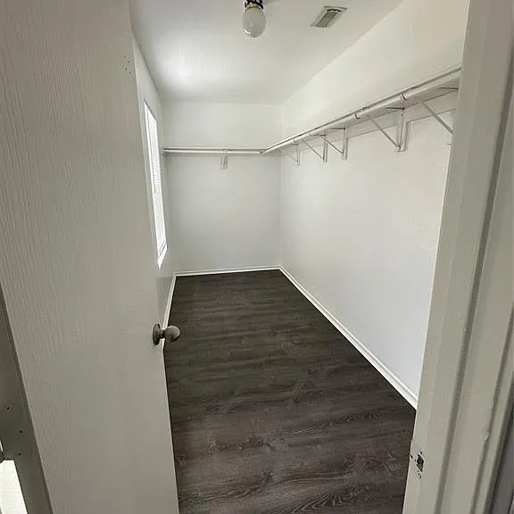 508 Birch Cluster Ct — Photo 9