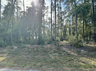 10390 N Holcomb Dr #17, Dunnellon, FL 34434