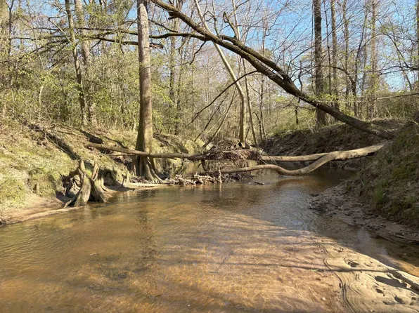 Greens Creek Rd, Jena, LA 71342