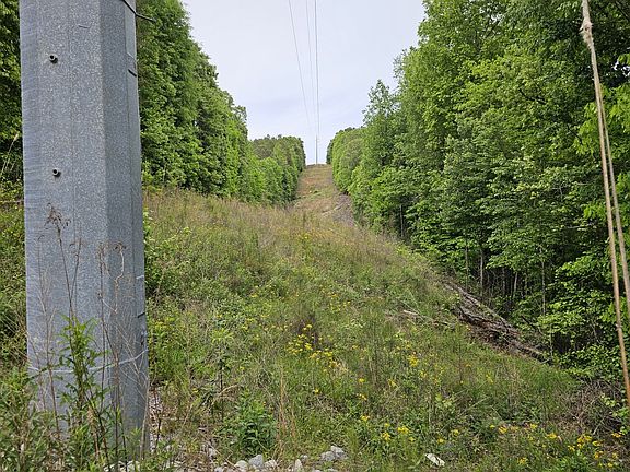 The power line right of way provides excellent deer and turkey habitat.