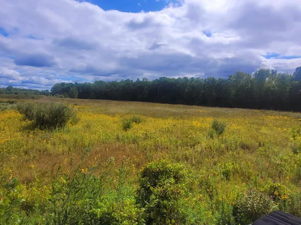 18805 62nd St, Bangor, MI 49013