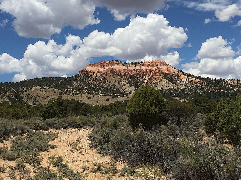 West view