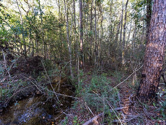 5th image of 0 Whitehouse Fork Rd