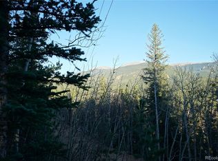 310 Wise Rd, Bailey, CO 80421