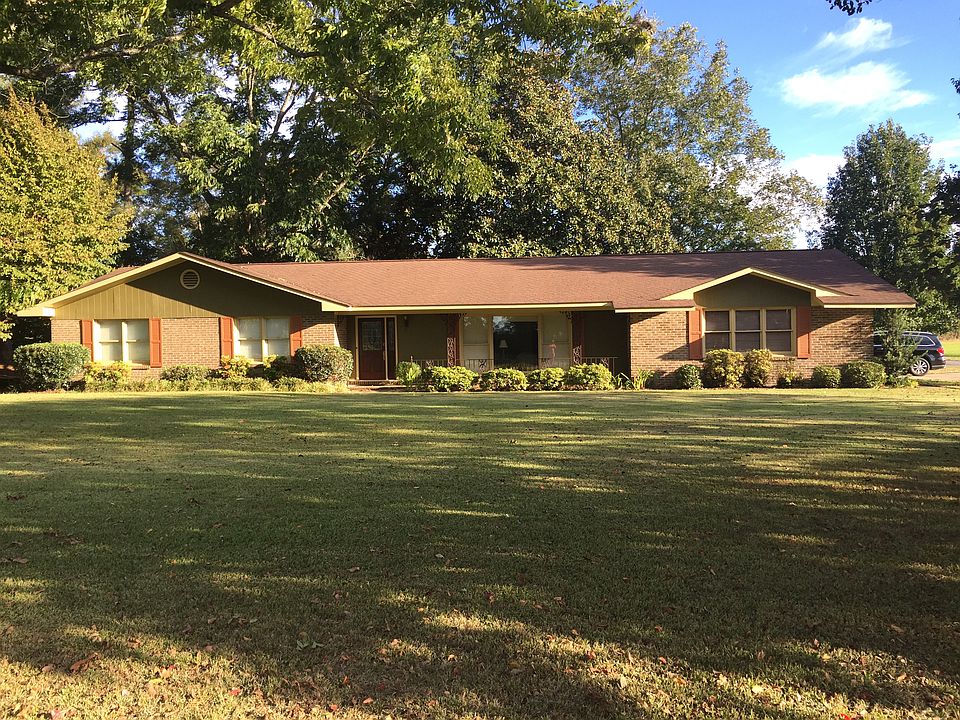 Decades old pecan trees