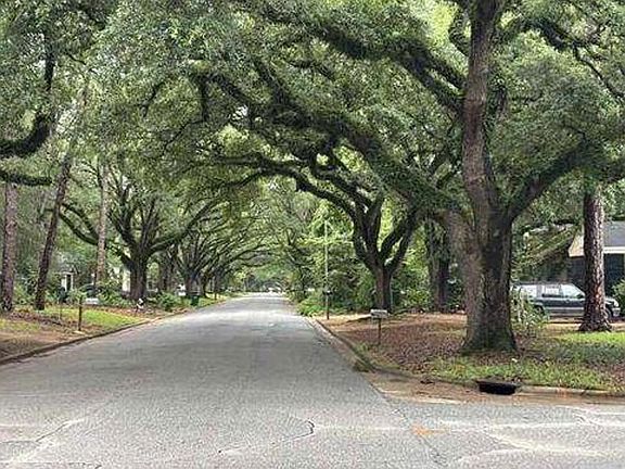 Exterior Neighborhood (street photo)