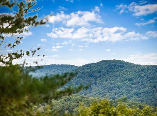 16 Buckskin Dr, Blue Ridge, GA 30513