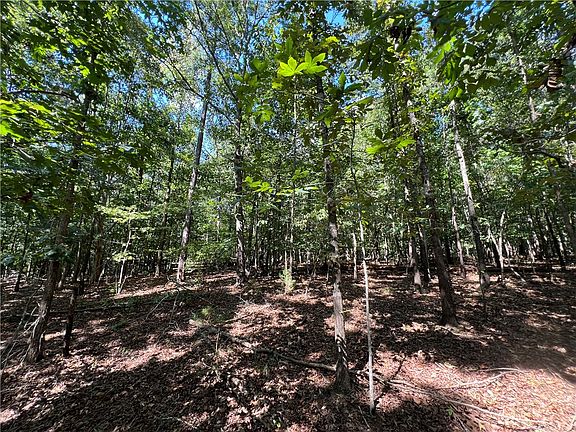 3rd image of TRACT Cann Rd #A