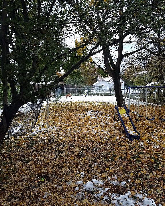 1st image of 611 9th Ave W