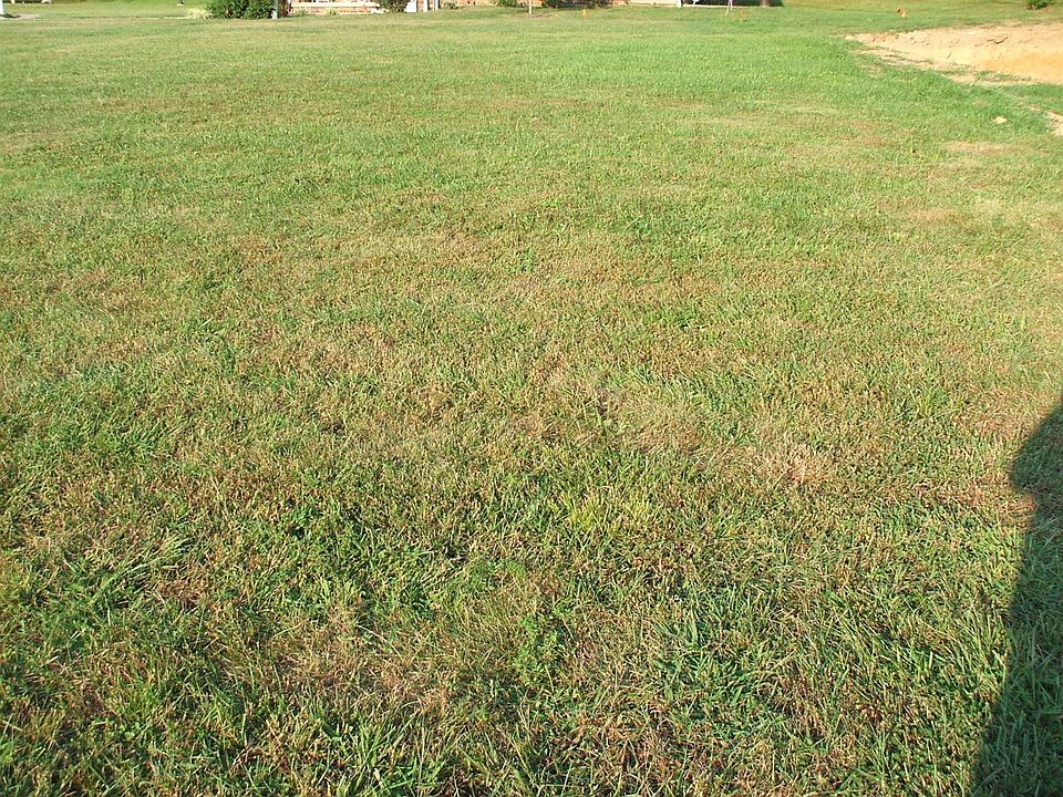 2nd image of 2106 Leslee Way